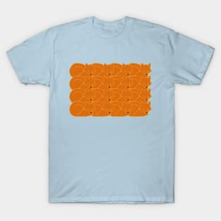 Sleeping Foxes T-Shirt